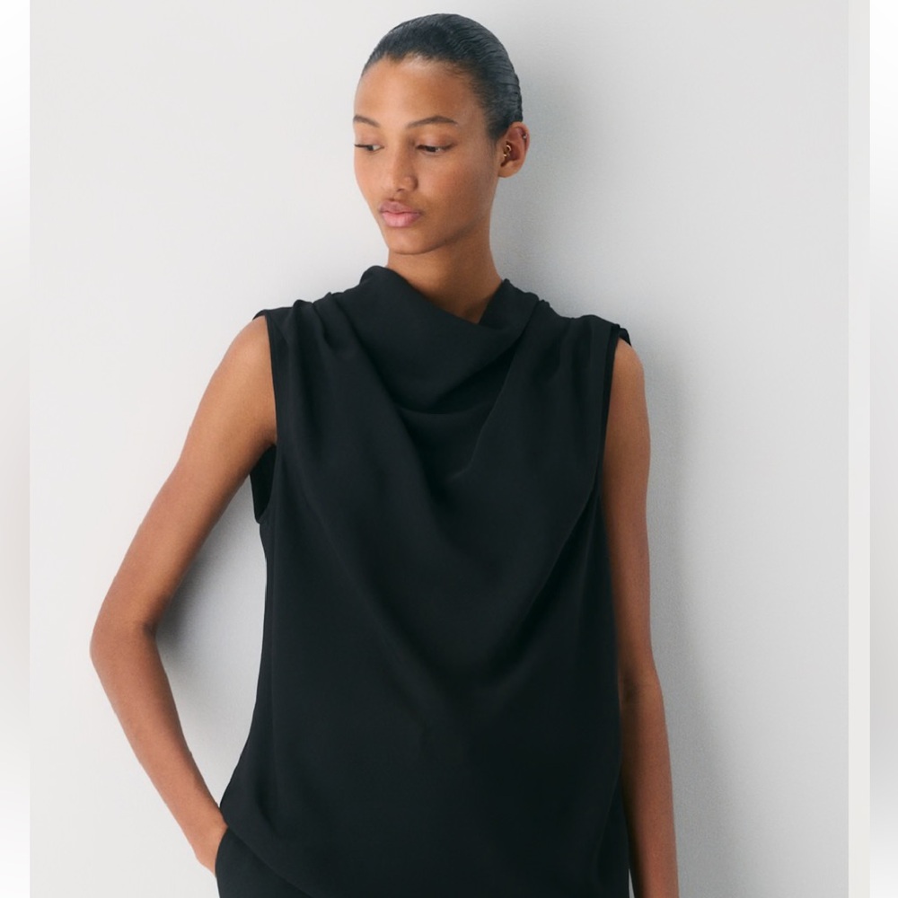 Aritzia Babaton Mockneck Sleeveless Blouse